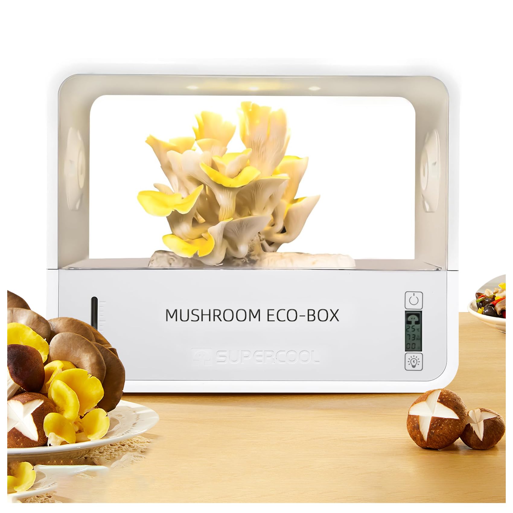 キノコ しいたけ すその620（登録品種）500個入 | 商品紹介 | タキイ農業資材